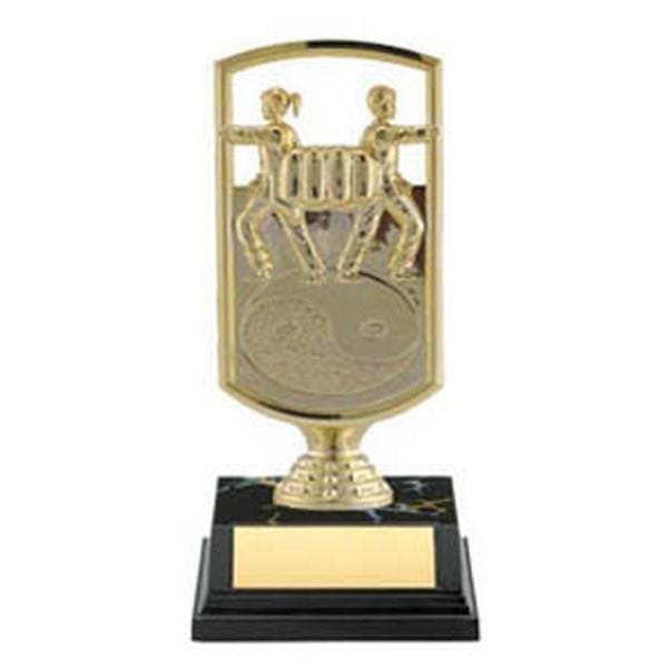 Martial Arts Trophy - All Star (A3281) - Quest Awards