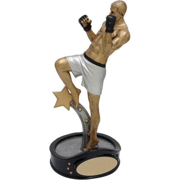 Martial Arts Trophy - Mixed Martial Arts - Male (A2832) - Quest Awards