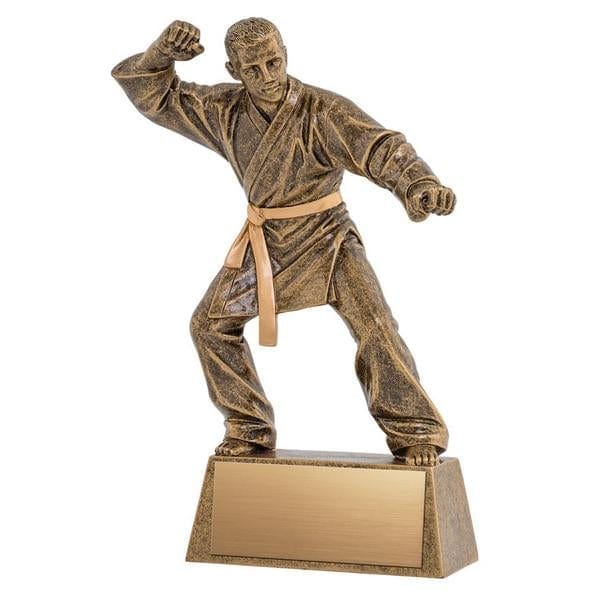 Martial Arts Trophy - Pinnacle Sculpture (A3256) - Quest Awards