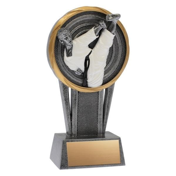 Martial Arts Trophy - Vortex - 2 Sizes (A3257) - Quest Awards