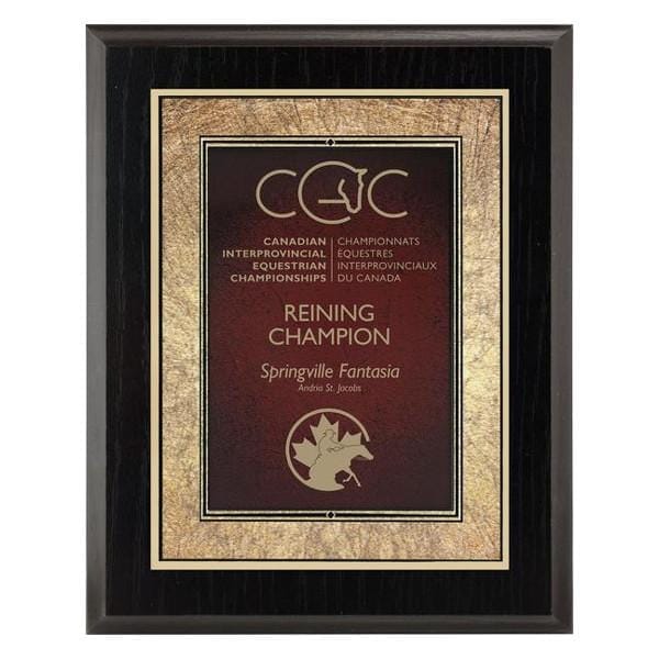 Plaque - Focus Series - Red (A2913) - Quest Awards